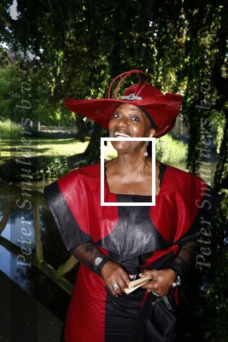 Haarzuilens 22 juni 2022
Haringparty bij kasteel de Haar in Haarzuilens .
Gerda Havertong