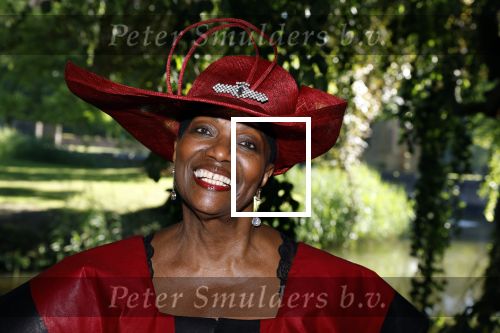 Haarzuilens 22 juni 2022
Haringparty bij kasteel de Haar in Haarzuilens .
Gerda Havertong