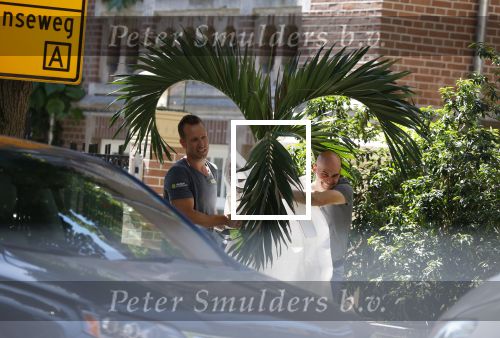 Amsterdam 16 juni 2022
Bij het nieuwe huis van Gigi ravelli zijn ze planten aan het verplaatsen.