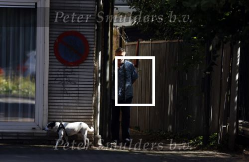 Amsterdam 14 juli 2022
Hans v d Togt laat zijn hond uit in het centrum van Amsterdam.
