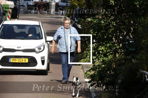 Amsterdam 14 juli 2022
Hans v d Togt laat zijn hond uit in het centrum van Amsterdam.