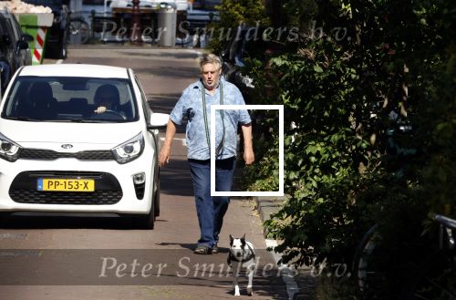 Amsterdam 14 juli 2022
Hans v d Togt laat zijn hond uit in het centrum van Amsterdam.