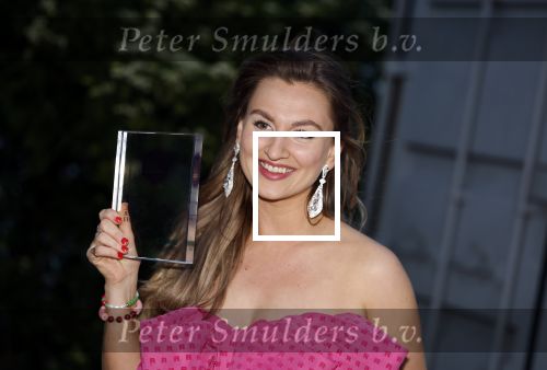 Amsterdam 25 mei 2022
Uitreiking best social awards in Amsterdam
Jeanet Rook