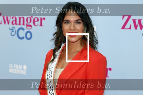 Amsterdam 25 juni 2022
Premiere zwanger en Co in Tuschinski .
Miss Nederland Julia Sinning