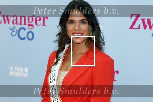 Amsterdam 25 juni 2022
Premiere zwanger en Co in Tuschinski .
Miss Nederland Julia Sinning