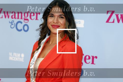 Amsterdam 25 juni 2022
Premiere zwanger en Co in Tuschinski .
Miss Nederland Julia Sinning