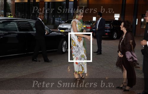 Amsterdam 30 juni 2022
60 jaar nationaal ballet in de stopera.
Koning Willem Alexander en koningin Maxima zijn ook aanwezig. ontvangst door wethouder Shula Rijxman