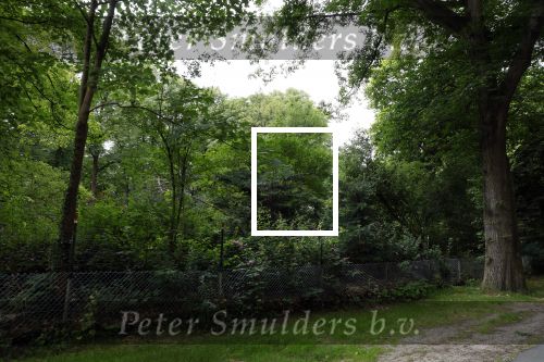 Huizen 9 juni 2022
Huis Linda de Mol