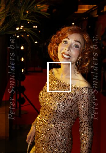 Amsterdam 30 juni 2022
Premiere Dragshow in the Harbour Club.