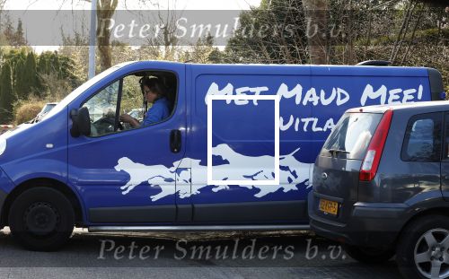 Heemstede 15 maart 2022
Maud van boer zoekt vrouw heeft een hondenuitlaat service