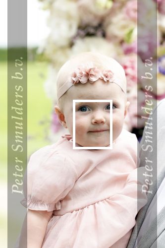Oosterblokker 18 juni 2022
Irene Schouten en Dirkjan Mak trouwen in de tuin bij de ouders van Dirkjan . Peter Post met dochter en zijn schoonouders