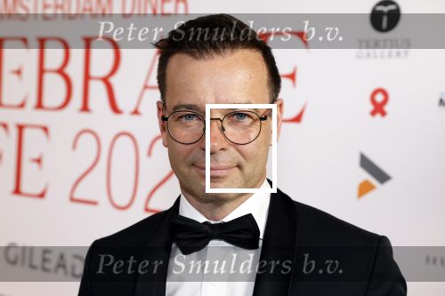 Amsterdam 25 juni 2022
Het damdiner tbv het aidsfonds wordt voor de 30e keer georganiseerd . Het vind dit jaar plaats in AFAS Live. Peter v d Vorst