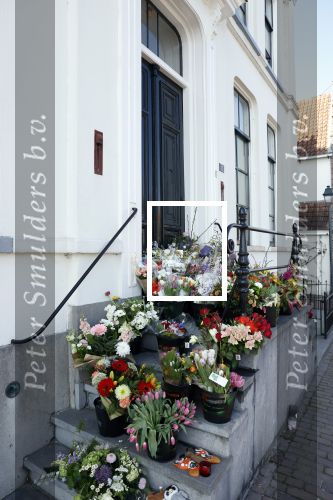 Harlingen 26 maart 2022
Bij het oude huis van Piet paulusma liggen veel bloemen en de frise vlag hangt halfstok.