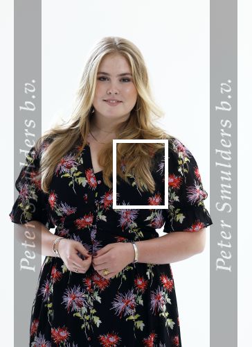 Den Haag 24 juni 2022
Het jaarlijkse fotouurtje in paleis Noordeinde. Aanwezig Koning Willem Alexander Koningin Maxima Prinses Amalia Prinses Alexia en Prinses Ariane