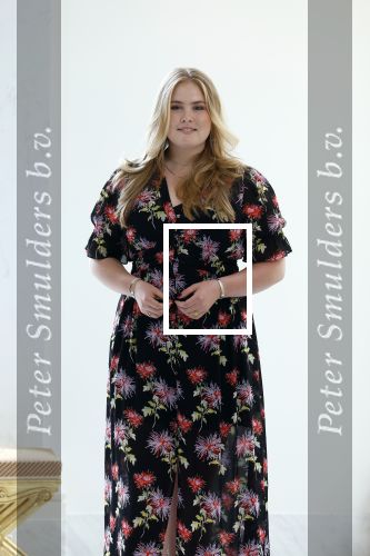 Den Haag 24 juni 2022
Het jaarlijkse fotouurtje in paleis Noordeinde. Aanwezig Koning Willem Alexander Koningin Maxima Prinses Amalia Prinses Alexia en Prinses Ariane