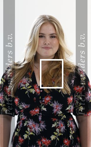 Den Haag 24 juni 2022
Het jaarlijkse fotouurtje in paleis Noordeinde. Aanwezig Koning Willem Alexander Koningin Maxima Prinses Amalia Prinses Alexia en Prinses Ariane