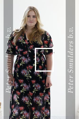 Den Haag 24 juni 2022
Het jaarlijkse fotouurtje in paleis Noordeinde. Aanwezig Koning Willem Alexander Koningin Maxima Prinses Amalia Prinses Alexia en Prinses Ariane