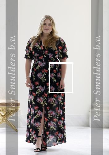 Den Haag 24 juni 2022
Het jaarlijkse fotouurtje in paleis Noordeinde. Aanwezig Koning Willem Alexander Koningin Maxima Prinses Amalia Prinses Alexia en Prinses Ariane