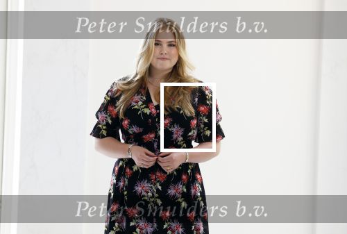 Den Haag 24 juni 2022
Het jaarlijkse fotouurtje in paleis Noordeinde. Aanwezig Koning Willem Alexander Koningin Maxima Prinses Amalia Prinses Alexia en Prinses Ariane