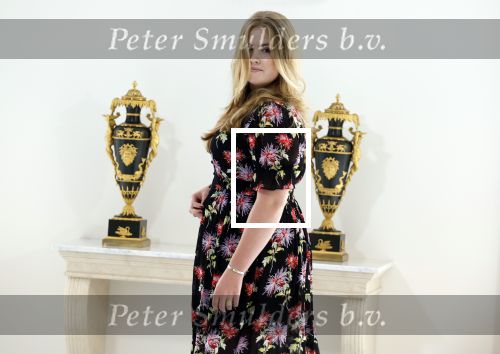 Den Haag 24 juni 2022
Het jaarlijkse fotouurtje in paleis Noordeinde. Aanwezig Koning Willem Alexander Koningin Maxima Prinses Amalia Prinses Alexia en Prinses Ariane