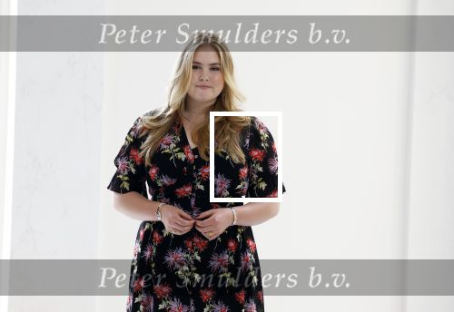 Den Haag 24 juni 2022
Het jaarlijkse fotouurtje in paleis Noordeinde. Aanwezig Koning Willem Alexander Koningin Maxima Prinses Amalia Prinses Alexia en Prinses Ariane