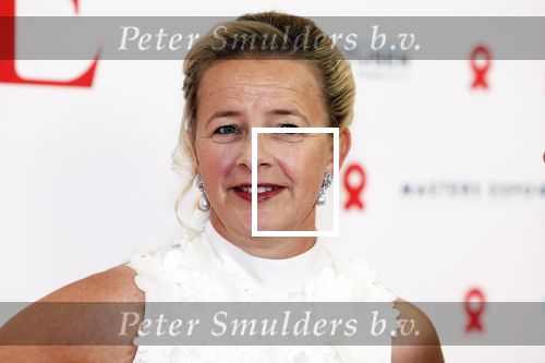 Amsterdam 25 juni 2022
Het damdiner tbv het aidsfonds wordt voor de 30e keer georganiseerd . Het vind dit jaar plaats in AFAS Live. Prinses Mabel kwam met haar zussen