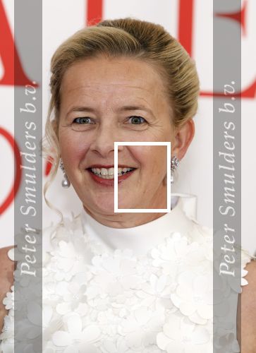 Amsterdam 25 juni 2022
Het damdiner tbv het aidsfonds wordt voor de 30e keer georganiseerd . Het vind dit jaar plaats in AFAS Live. Prinses Mabel kwam met haar zussen
