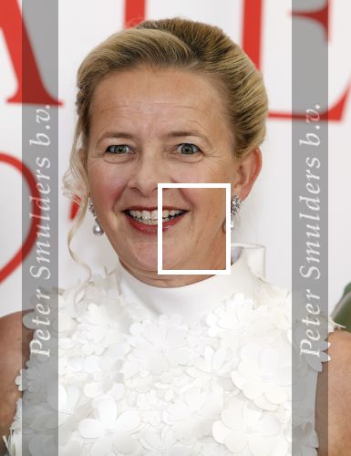 Amsterdam 25 juni 2022
Het damdiner tbv het aidsfonds wordt voor de 30e keer georganiseerd . Het vind dit jaar plaats in AFAS Live. Prinses Mabel kwam met haar zussen