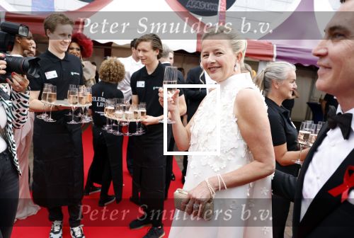 Amsterdam 25 juni 2022
Het damdiner tbv het aidsfonds wordt voor de 30e keer georganiseerd . Het vind dit jaar plaats in AFAS Live. Prinses Mabel kwam met haar zussen