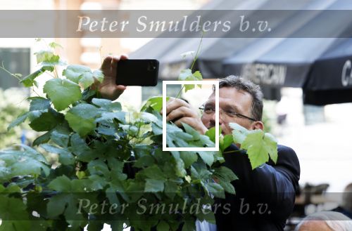 Amsterdam 1 juli 2022
Onthulling kunstwerk met daarop Willy Alberti en Johnny Kraaijkamp bij hotel Americain.
Aanwezig de kinderen Tonny Alberti en Willeke Alberti en Johnny Kraaijkamp en Sanne Kraaijkamp. Sjuul Paradijs