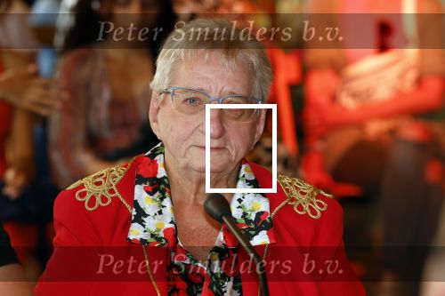 Lichtenvoorde 12 juli 2022
Frans bauer op persconferentie zwarte cross waar Tante Rikie afscheid van neemt