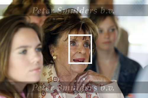 Nuland 13 juni 2022
Presentatie Toos wijn vernoemd naar Toos v d Valk . Bijna de hele familie is aan wezig in de tuin van het familie huis.
