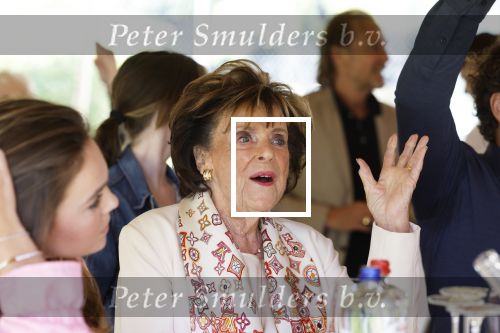 Nuland 13 juni 2022
Presentatie Toos wijn vernoemd naar Toos v d Valk . Bijna de hele familie is aan wezig in de tuin van het familie huis.