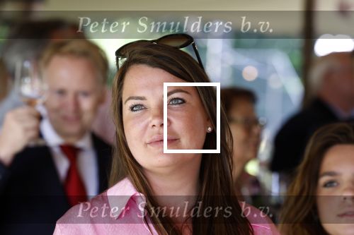 Nuland 13 juni 2022
Presentatie Toos wijn vernoemd naar Toos v d Valk . Bijna de hele familie is aan wezig in de tuin van het familie huis. kleindochter