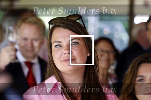 Nuland 13 juni 2022
Presentatie Toos wijn vernoemd naar Toos v d Valk . Bijna de hele familie is aan wezig in de tuin van het familie huis. kleindochter