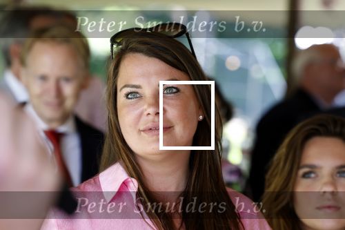 Nuland 13 juni 2022
Presentatie Toos wijn vernoemd naar Toos v d Valk . Bijna de hele familie is aan wezig in de tuin van het familie huis. kleindochter
