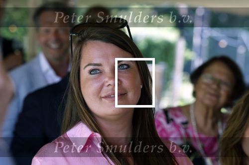 Nuland 13 juni 2022
Presentatie Toos wijn vernoemd naar Toos v d Valk . Bijna de hele familie is aan wezig in de tuin van het familie huis. kleindochter