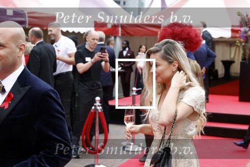 Amsterdam 25 juni 2022
Het damdiner tbv het aidsfonds wordt voor de 30e keer georganiseerd . Het vind dit jaar plaats in AFAS Live. Yvonne Coldeweijer