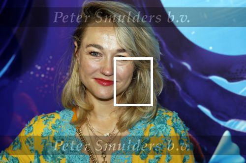 Amsterdam 24 juni 2023
Premiere TIENER MET TENTAKELS in Pathe Arena .
Carolien Spoor