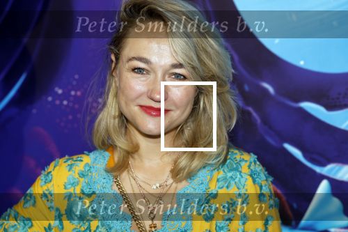 Amsterdam 24 juni 2023
Premiere TIENER MET TENTAKELS in Pathe Arena .
Carolien Spoor