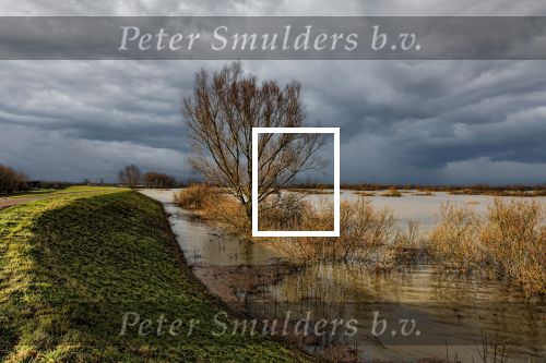 Zaltbommel, 19 Januari 2011
De Hurwenense Kil is in zijn huidige vorm ontstaan in het jaar 1639. Toen werd een oude meander van de Waal door de mens afgesneden van de rivier. De oude loop van de rivier is nog duidelijk in het landschap te herkennen. Bij hoog water in de rivier stroomt het water door het gebied heen en hierdoor ontstaat een uitermate rijk natuurgebied. Het is dan ook geen wonder dat De Kil van Hurwenen uitgeroepen is tot natuurreservaat. Natuurreservaat