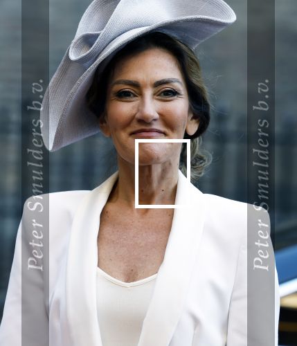 Den Haag 20 september 2022
Prinsjesdag 2022 in Den Haag . De troonrede wordt gedaan vanuit de koninklijke schouwburg .
Koning Willem Alexander Koningin Maxima
Dilan Yesilgoz-Zegerius