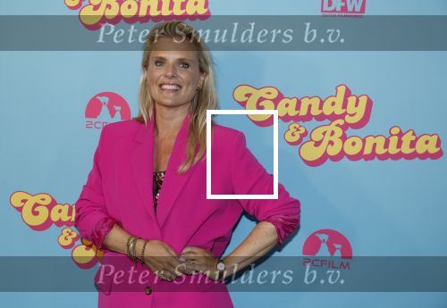 Amsterdam 276 juni 2023
Premiere Candy en Bonita in Pathe de Munt . Nienke Romer is de regisseur.
Eveline Stallaart