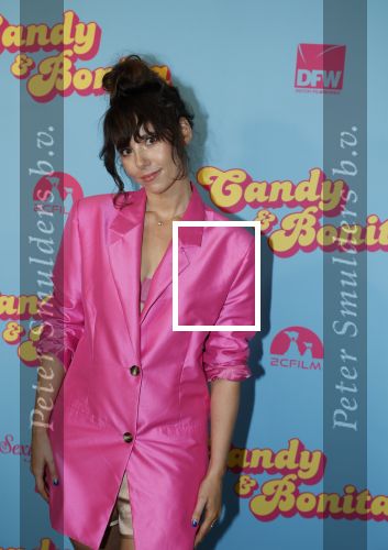 Amsterdam 276 juni 2023
Premiere Candy en Bonita in Pathe de Munt . Nienke Romer is de regisseur.
Gwen v Poorten