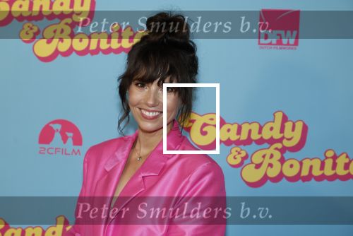 Amsterdam 276 juni 2023
Premiere Candy en Bonita in Pathe de Munt . Nienke Romer is de regisseur.
Gwen v Poorten