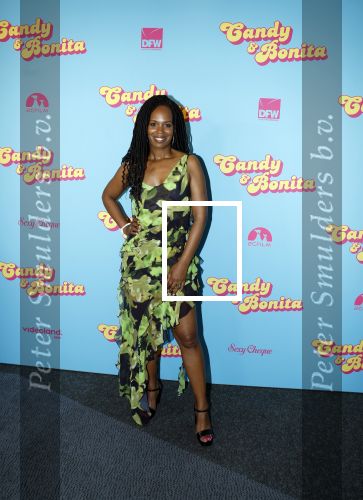 Amsterdam 276 juni 2023
Premiere Candy en Bonita in Pathe de Munt . Nienke Romer is de regisseur.
Jasmine Sendar
