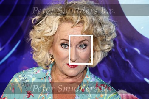 Amsterdam 24 juni 2023
Premiere TIENER MET TENTAKELS in Pathe Arena .
Karin Bloemen