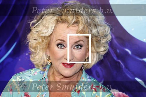 Amsterdam 24 juni 2023
Premiere TIENER MET TENTAKELS in Pathe Arena .
Karin Bloemen