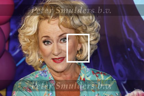 Amsterdam 24 juni 2023
Premiere TIENER MET TENTAKELS in Pathe Arena .
Karin Bloemen