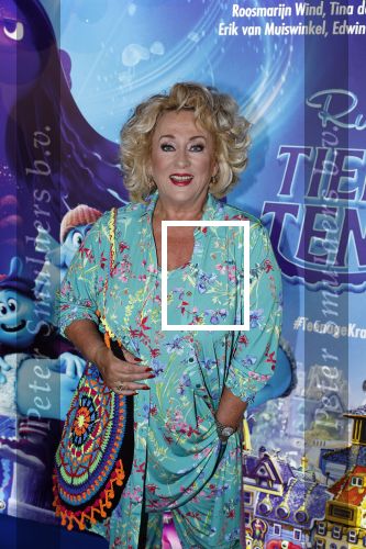 Amsterdam 24 juni 2023
Premiere TIENER MET TENTAKELS in Pathe Arena .
Karin Bloemen